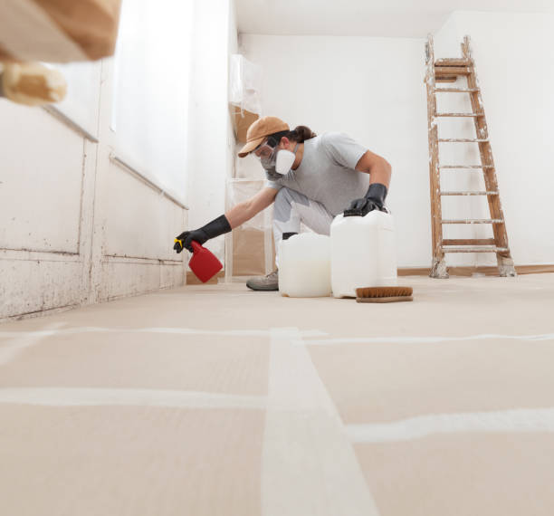 Forensic Mold Investigation in Marceline, MO
